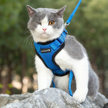 Mr. Peanut's PurrTrek Reflective Cat Harness with Matching Leash - Apollo's Corner