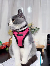 Mr. Peanut's PurrTrek Reflective Cat Harness with Matching Leash - Apollo's Corner