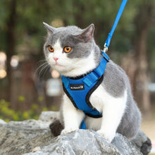 Mr. Peanut's PurrTrek Reflective Cat Harness with Matching Leash - Apollo's Corner