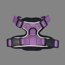 Mr. Peanut's PurrTrek Reflective Cat Harness with Matching Leash - Apollo's Corner