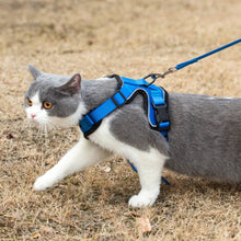 Mr. Peanut's PurrTrek Reflective Cat Harness with Matching Leash - Apollo's Corner