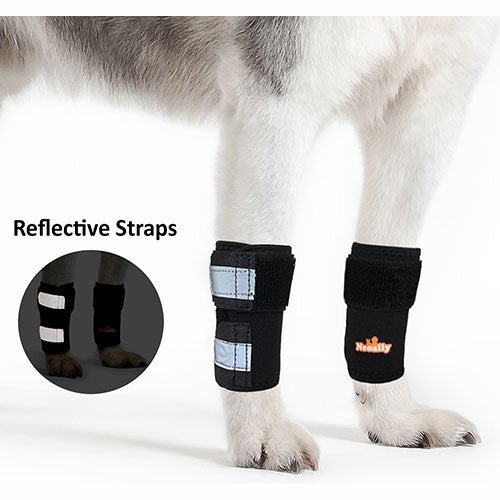 NeoAlly Front Leg Braces (Pair) — Reflective Carpal Support