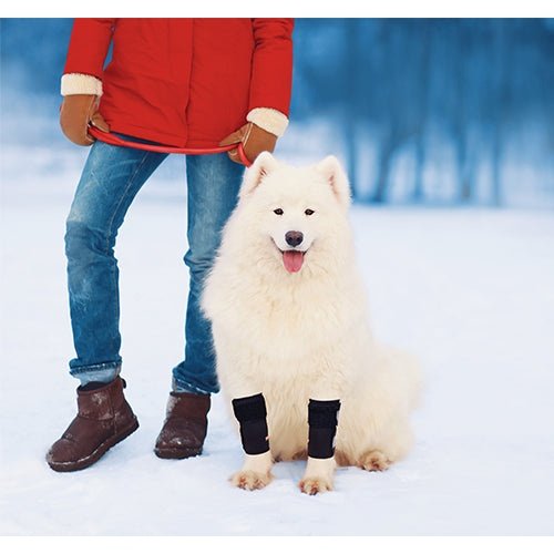 NeoAlly Front Leg Braces (Pair) — Reflective Carpal Support