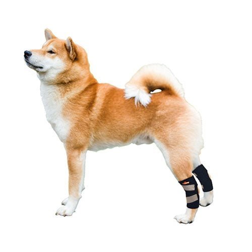 NeoAlly Rear Leg Hock Brace (Pair) — Reflective Support for Small Dogs