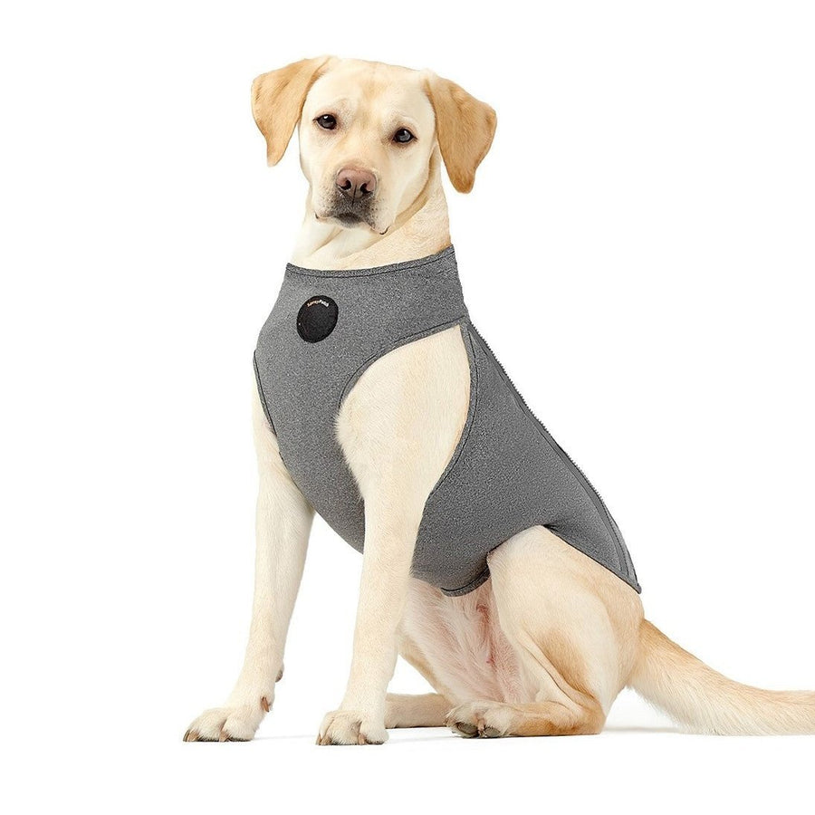 NeoAlly Surgical Recovery Vest for Dogs & Cats — Cone-Free Healing