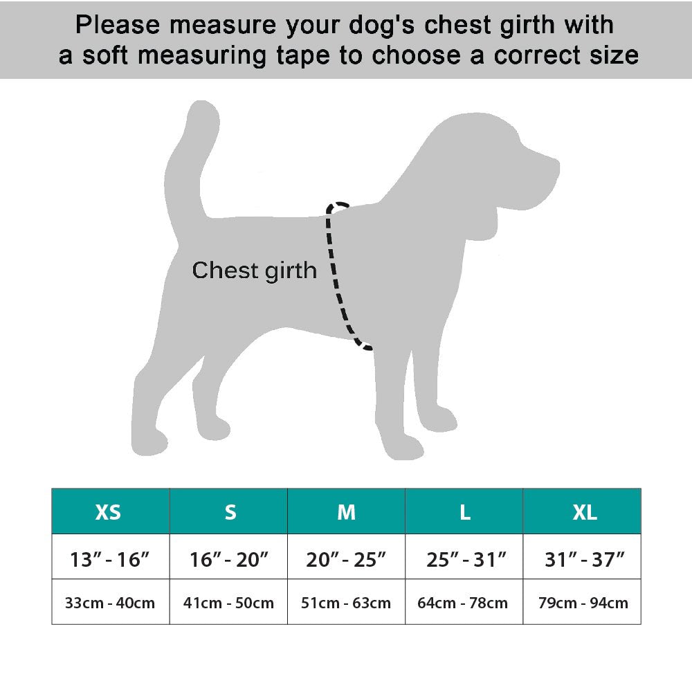 NeoAlly Surgical Recovery Vest for Dogs & Cats — Cone-Free Healing