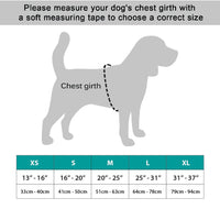 NeoAlly Surgical Recovery Vest for Dogs & Cats — Cone-Free Healing