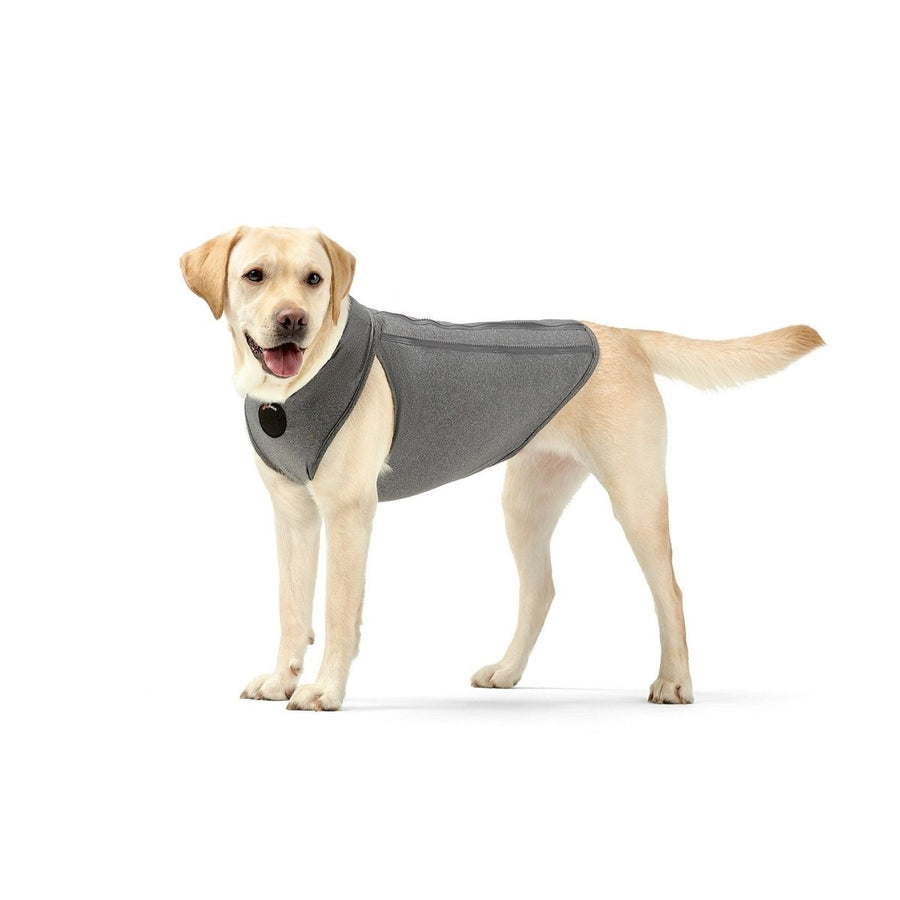 NeoAlly Surgical Recovery Vest for Dogs & Cats — Cone-Free Healing