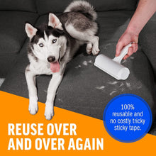 Pet Hair Remover - Reusable Cat and Dog Hair Remover for Furniture; Couch; Carpet; Car Seats and Bedding; pet grooming; Portable; Multi - Surface Lint Roller & Animal Fur Removal Tool - Apollo's Corner