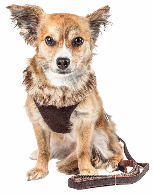 Pet Life Luxe 'Furracious' 2 - In - 1 Mesh Reversed Adjustable Dog Harness - Leash W/ Removable Fur Collar - Apollo's Corner
