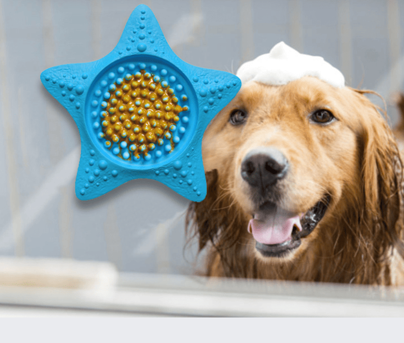 Pet supplies sea star pet suction cup licking pad pet dinner plate dog licking pad slow food bowl cat food dog food bowl - Apollo's Corner