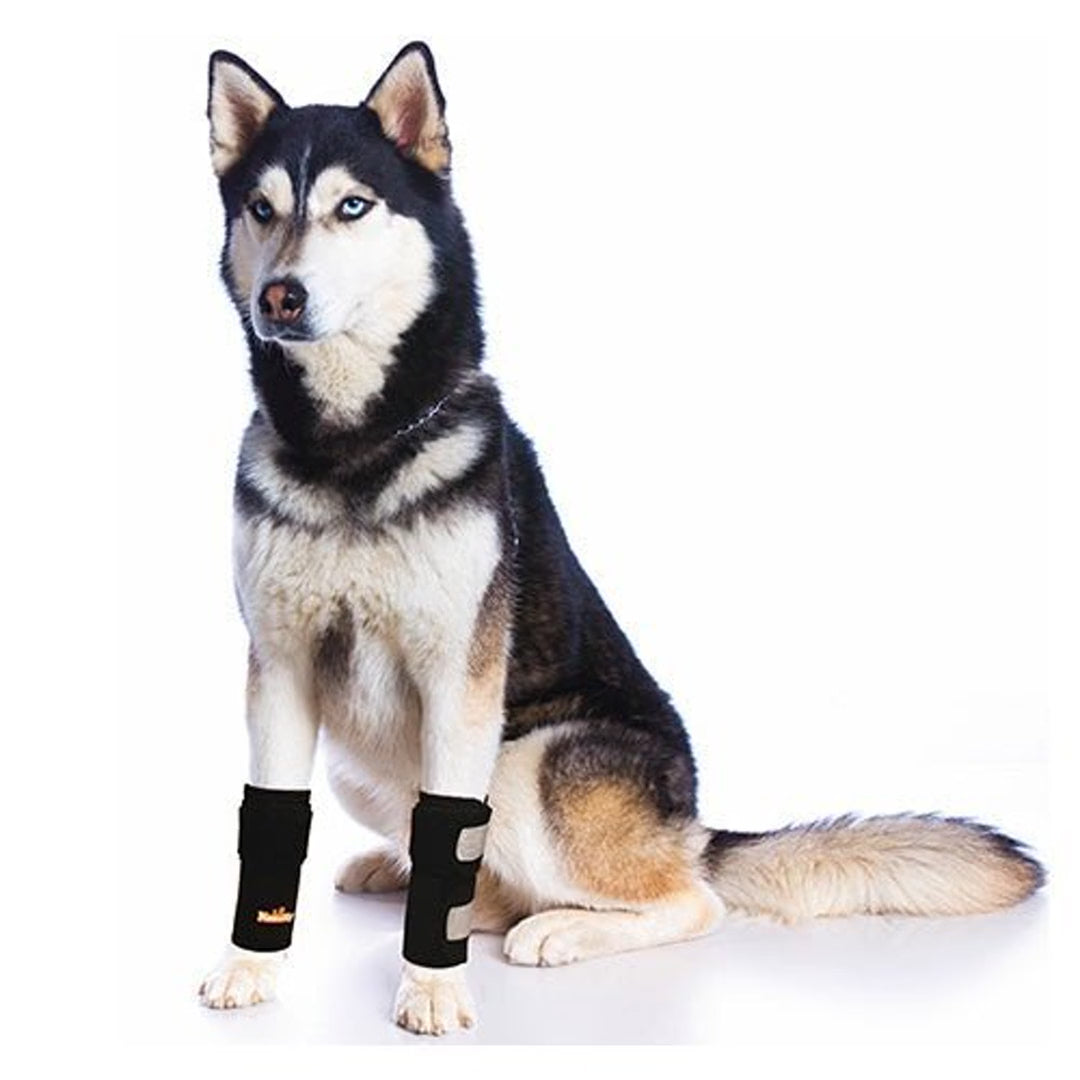 NeoAlly Front Leg Braces (Pair) — Reflective Carpal Support — product video