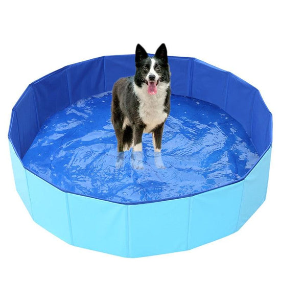 Cool-Down Foldable Dog Splash Pool — product video
