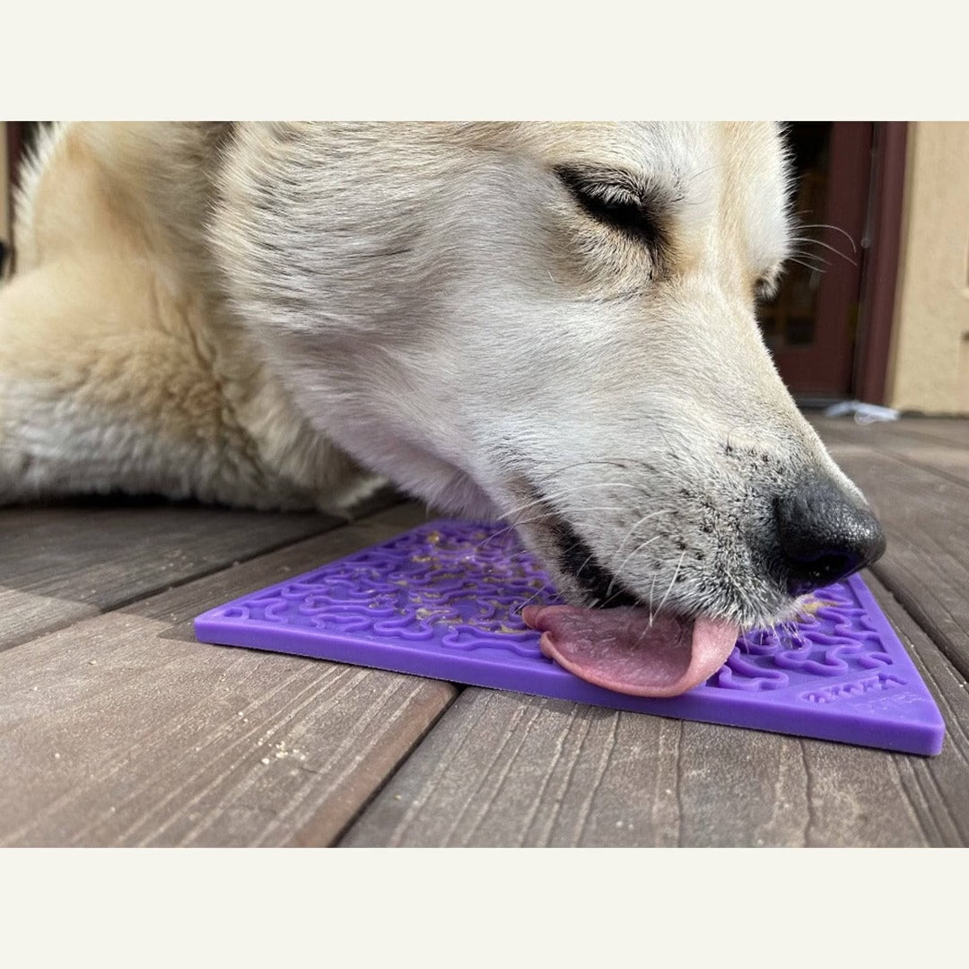 SodaPup Bones eMat Enrichment Lick Mat — for Dogs & Cats — product video