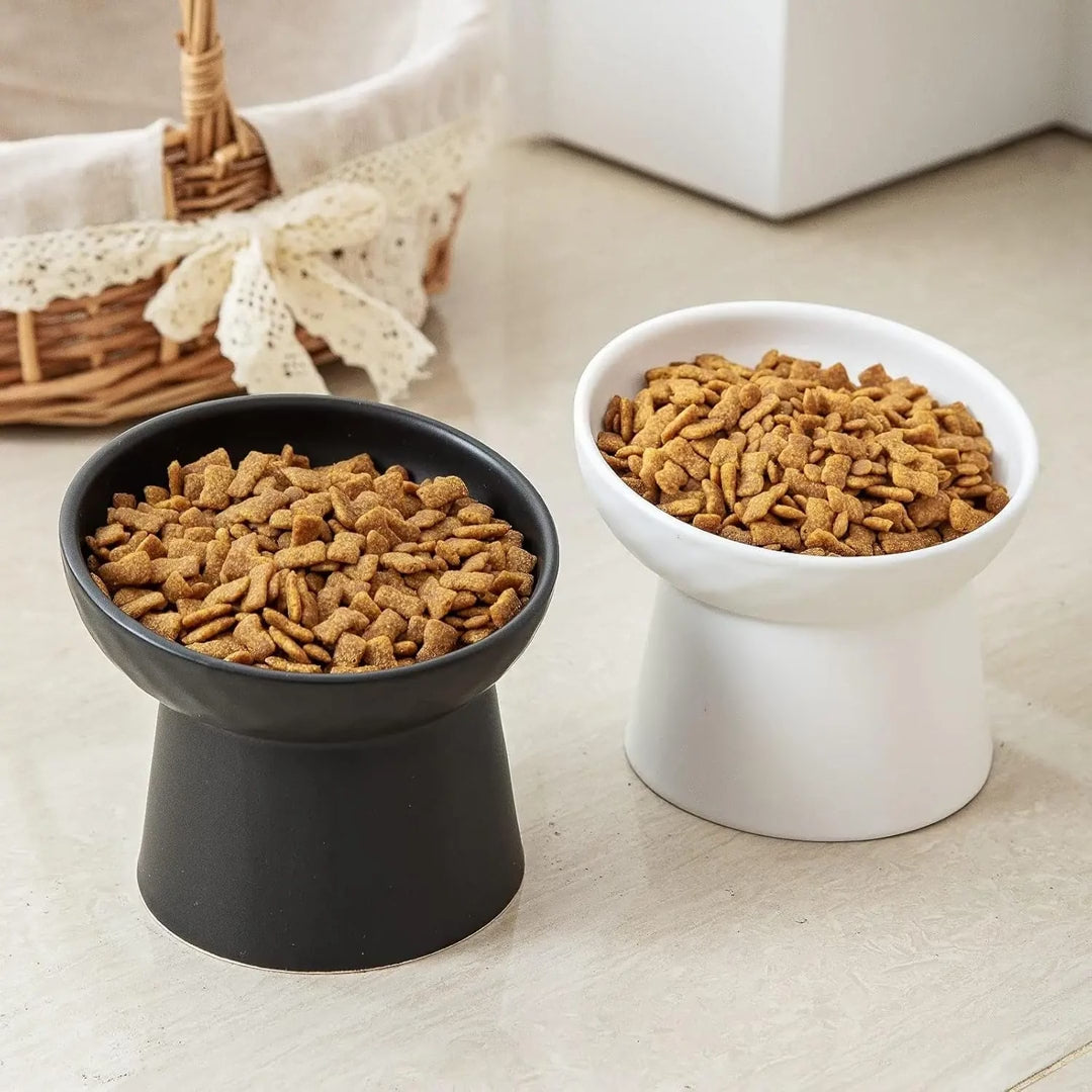 Raised Tilted Ceramic Cat Bowls (Set of 2) — Whisker-Friendly Feeder — product video