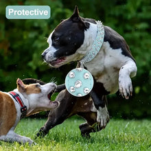 Rivet Leather Spiked Dog Collar & Leash Set - Apollo's Corner