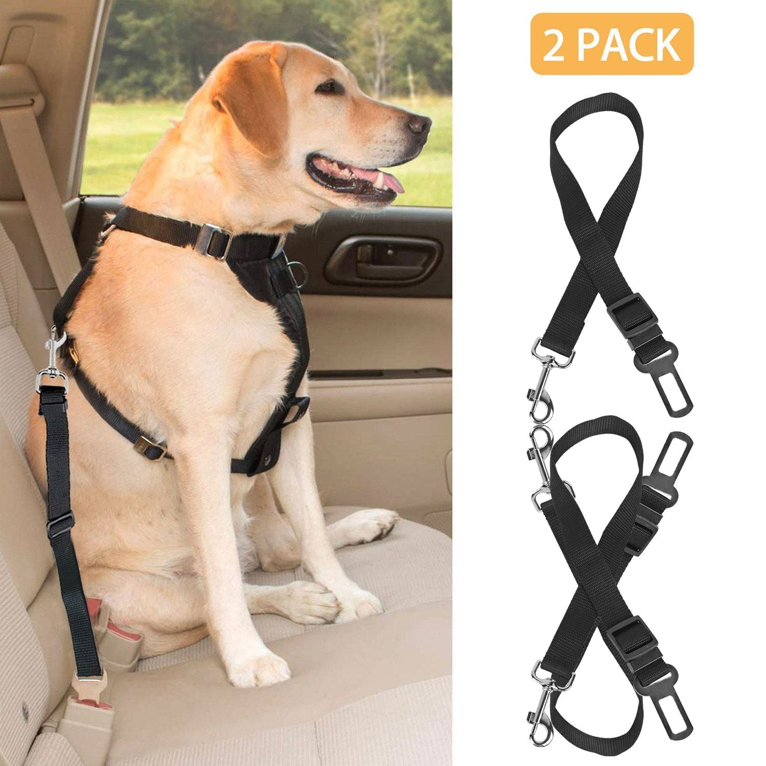 SafeRide Duo Pet Seat Belt Set - Apollo's Corner
