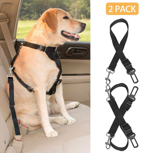 SafeRide Duo Pet Seat Belt Set - Apollo's Corner