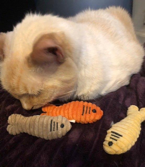 HuggleKats Sardinies crinkle catnip fish cat toys, 3 pack