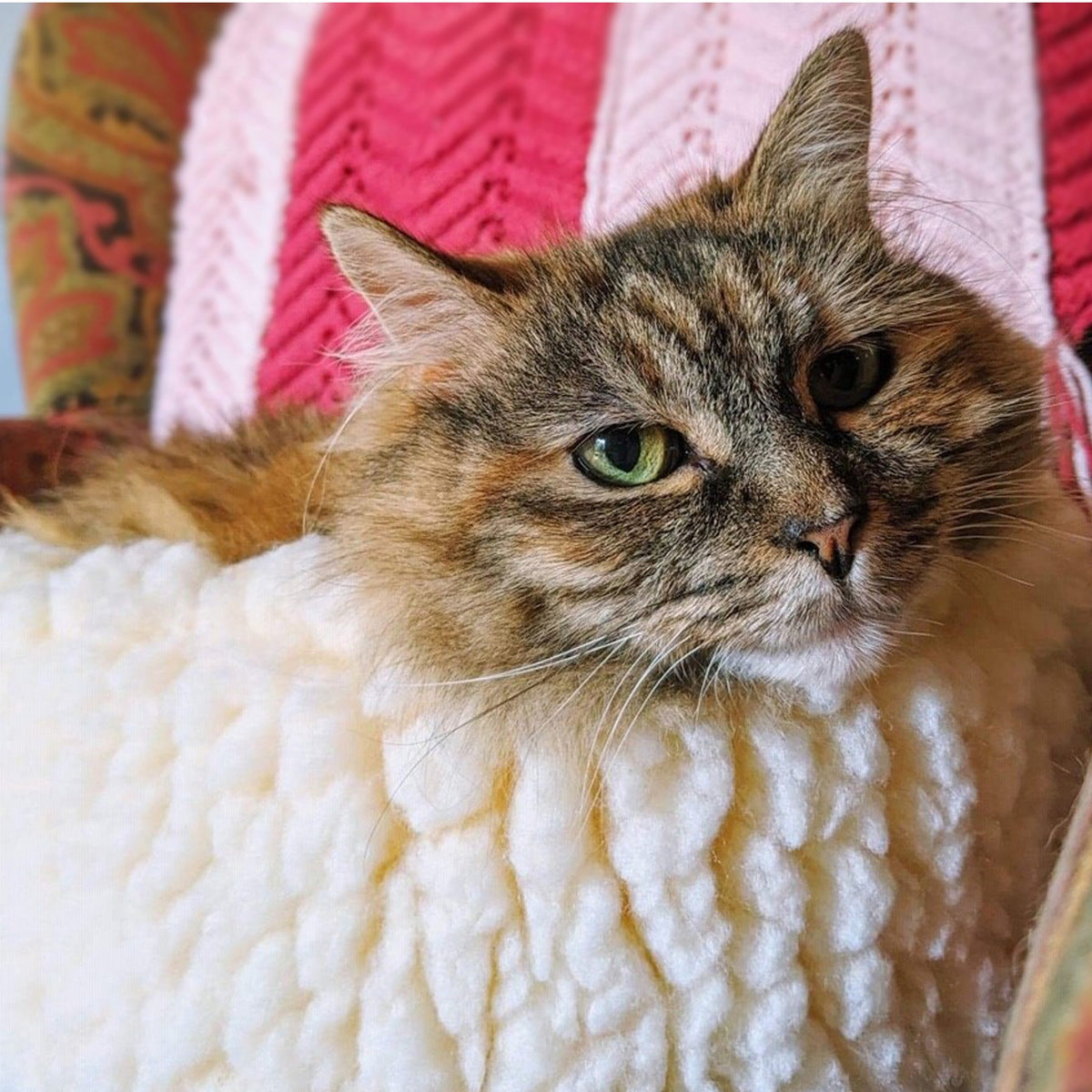 HuggleFleece HuggleSnuggler round fleece cat bed