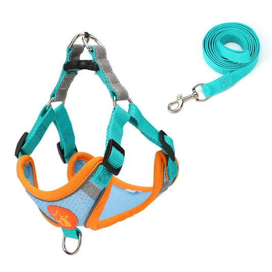 Small Dog Harness Puppy Harness and Leash Set with Reflective Strip for Small Dog Breeds - Apollo's Corner