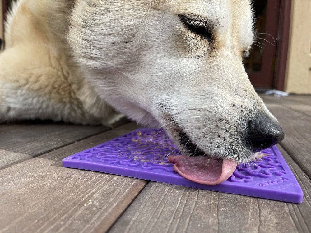 SodaPup Bones eMat Enrichment Lick Mat — for Dogs & Cats