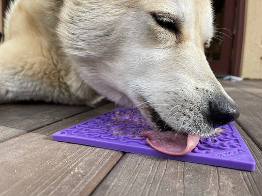 SodaPup Bones eMat Enrichment Lick Mat