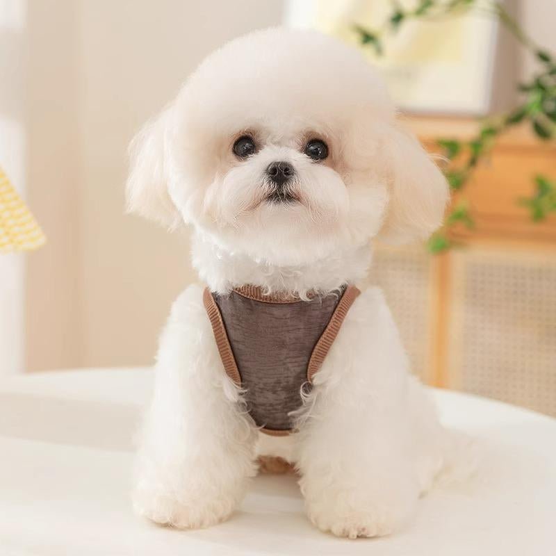 Stylish Breathable Mesh Bear Vest for Dogs - Perfect for Small to Large Breeds! - Apollo's Corner