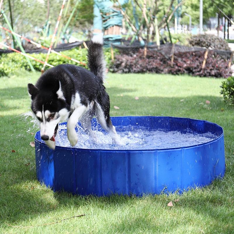 Cool-Down Foldable Dog Splash Pool