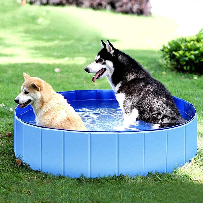 Cool-Down Foldable Dog Splash Pool