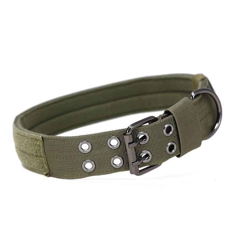 Super strong large dog collar with D - Ring & Buckle Collars Medium sized dog Golden haired horse dog Fierce dog collar - Apollo's Corner