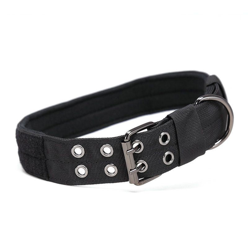 Super strong large dog collar with D - Ring & Buckle Collars Medium sized dog Golden haired horse dog Fierce dog collar - Apollo's Corner