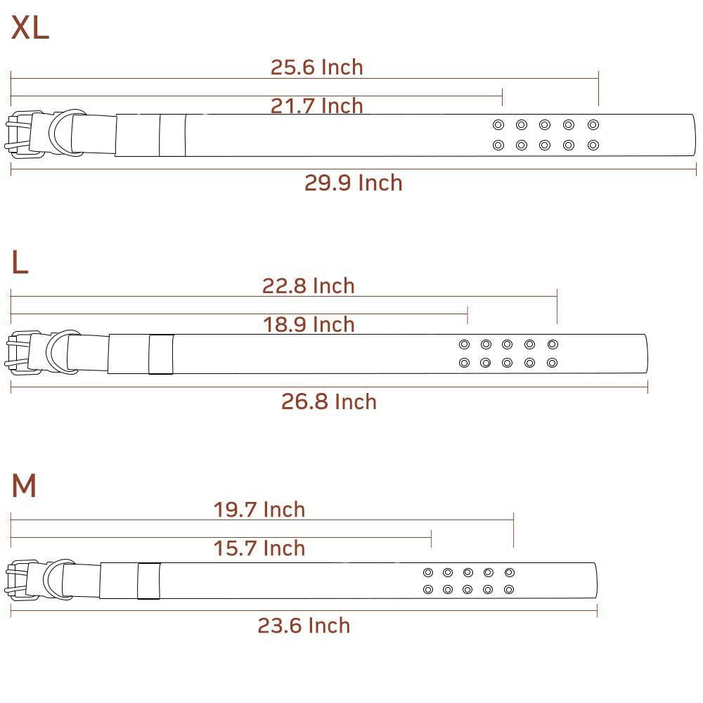 Super strong large dog collar with D - Ring & Buckle Collars Medium sized dog Golden haired horse dog Fierce dog collar - Apollo's Corner