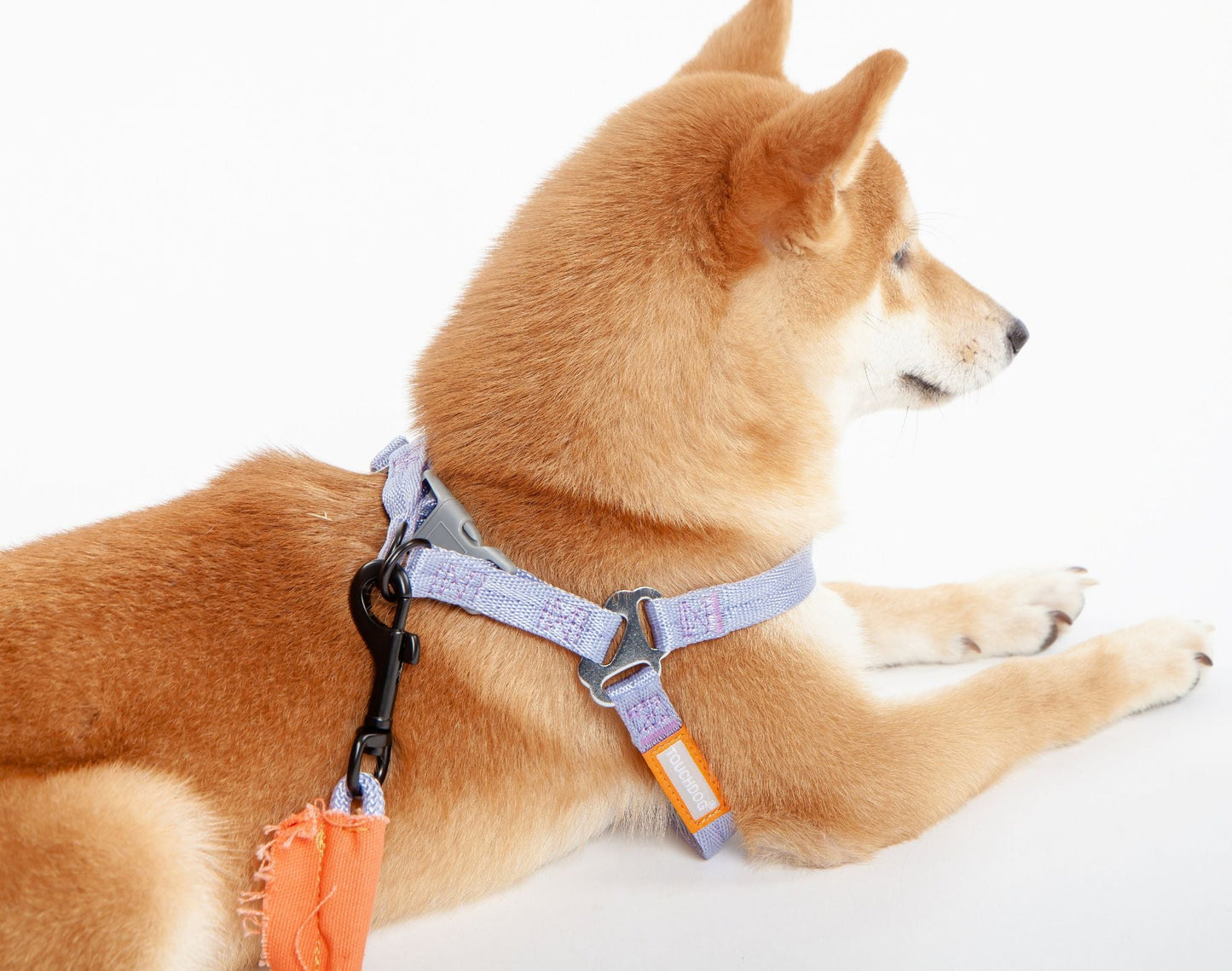Touchdog 'Macaron' 2 - in - 1 Durable Nylon Dog Harness and Leash - Apollo's Corner