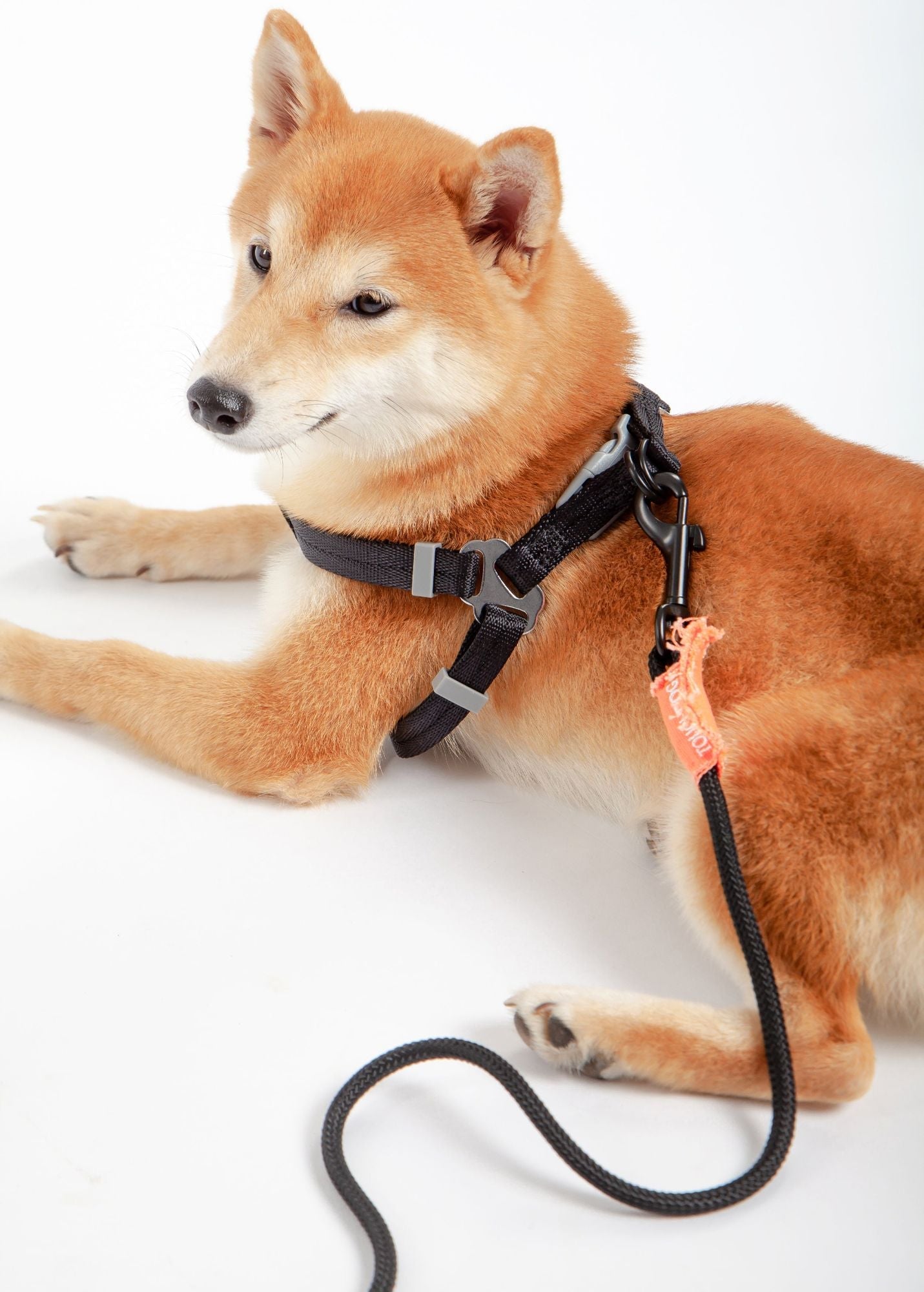 Touchdog 'Macaron' 2 - in - 1 Durable Nylon Dog Harness and Leash - Apollo's Corner
