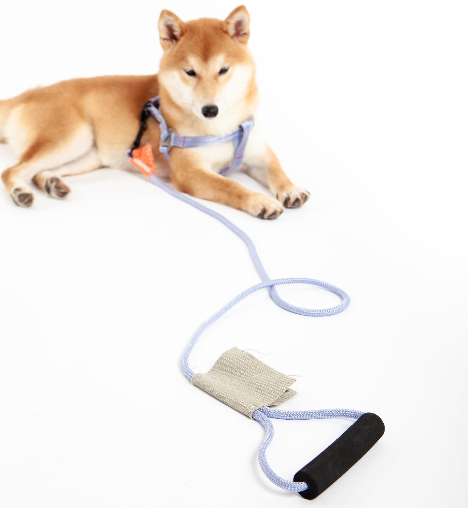 Touchdog 'Macaron' 2 - in - 1 Durable Nylon Dog Harness and Leash - Apollo's Corner