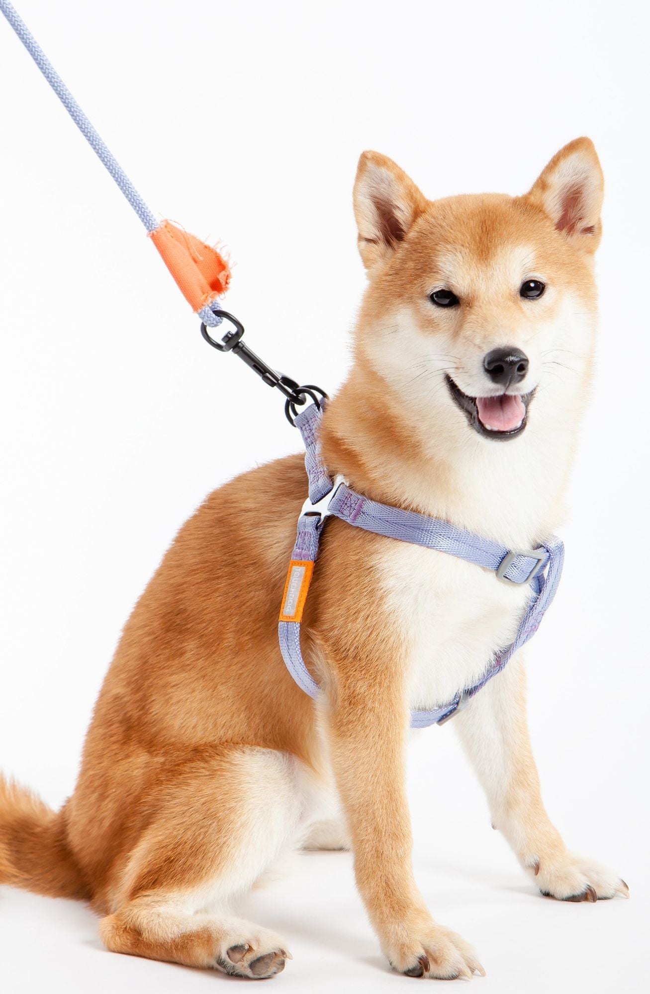 Touchdog 'Macaron' 2 - in - 1 Durable Nylon Dog Harness and Leash - Apollo's Corner